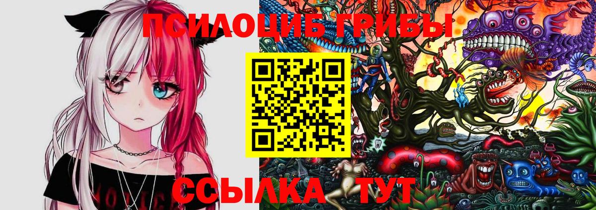 Воткинск  Галлюциногенные грибы Psilocybine cubensis  Вход с VPN 