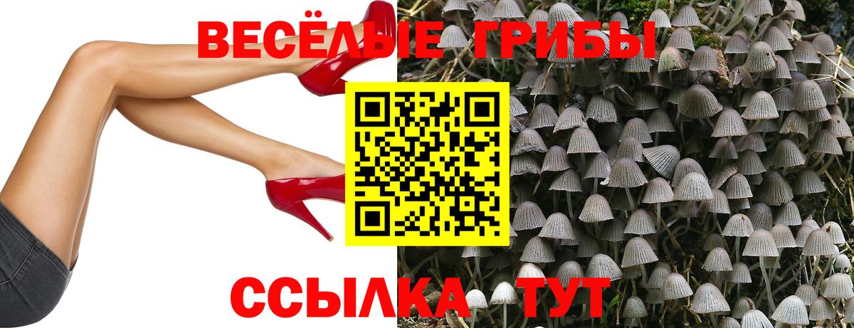 Галлюциногенные грибы GOLDEN TEACHER Воткинск